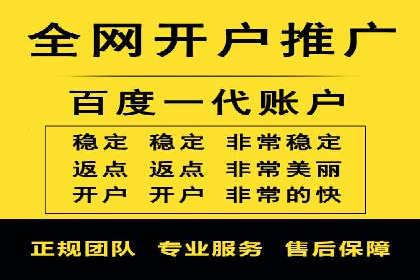 SEM代理实战：成功案例分享与经验总结